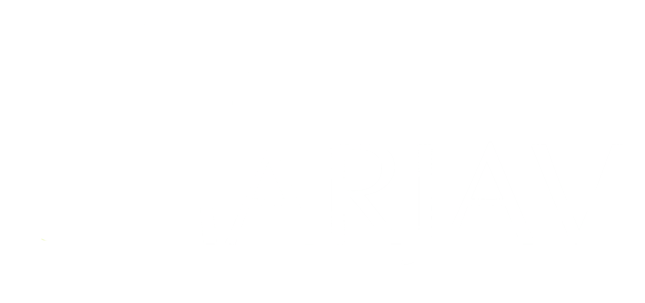 www.marjav.cl